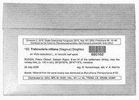 Tretovularia villiana image